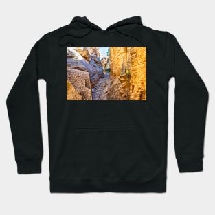 Lick Wash Trail Hike Hoodie